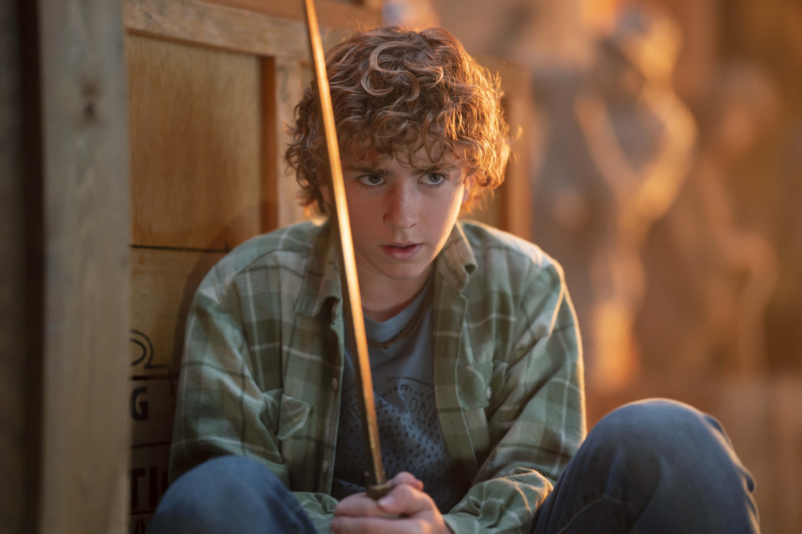 Percy Jackson e gli Dei dell’Olimpo serie