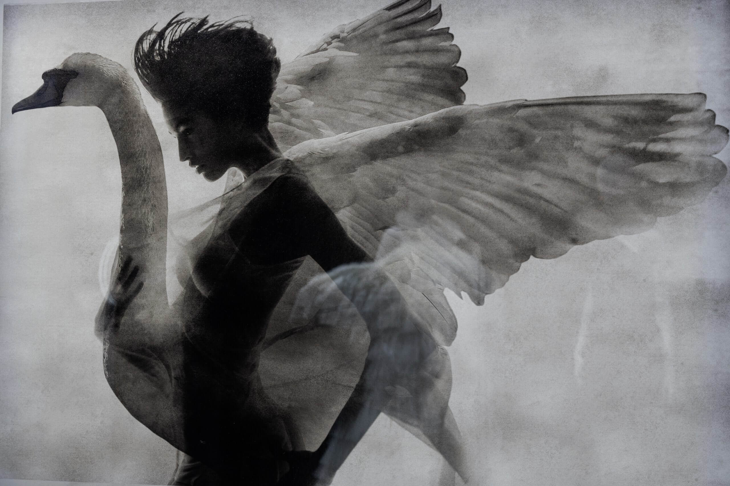 Rara Avis - Moda in volo alle Uccelliere Farnesiane, la mostra al Parco Archeologico del Colosseo Giovanni Gastel, Zeus in forma di cigno e Leda, 1990/2017, Milano, 104 x 84 cm - Foto Simona Murrone - Parco archeologico del Colosseo