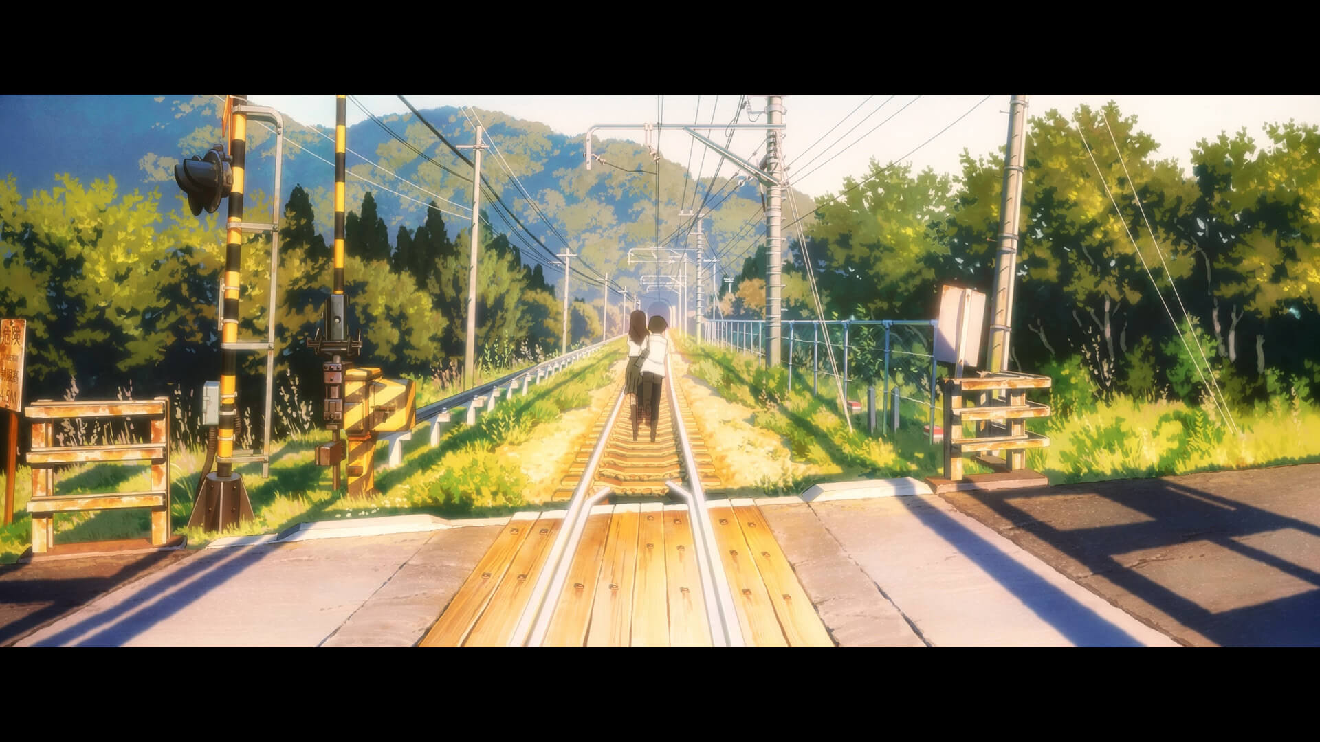 The Tunnel to Summer, the Exit of Goodbyes