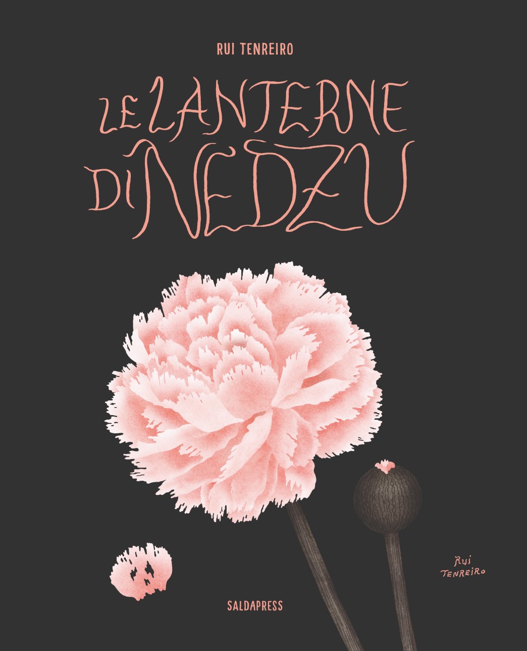 la copertina dell'albo Le Lanterne di Nedzu, di Rui Tenreiro, edito da saldaPress (2024)