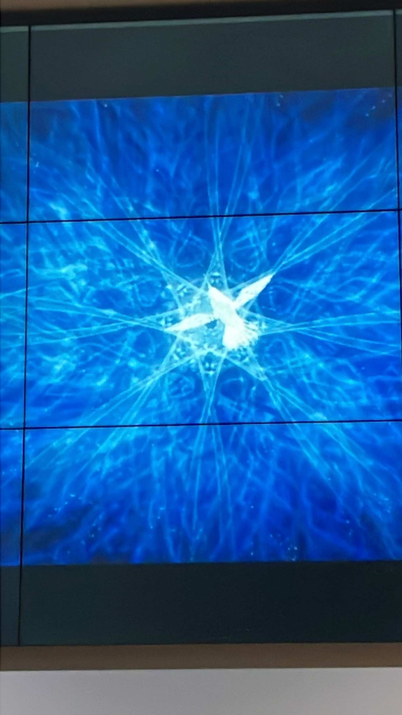 Foto di Alessandro Turillo